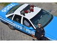 CHEVROLET CAPRICE 1991/10 - 4