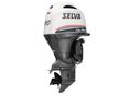 SELVA 2021/2 - 1