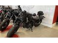 HONDA CMX 500 REBEL 2026 - 1