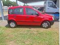 FIAT PANDA 2010/9 - 4