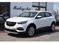 OPEL GRANDLAND X 2019/4 - 1