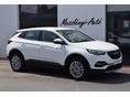 OPEL GRANDLAND X 2019/4 - 4