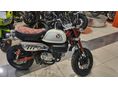 HONDA Z 125 MONKEY 2026 - 3