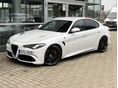 Eladó ALFA ROMEO GIULIA 2.9 T V6 Quadrifoglio (Automata) NAV / XEN / BŐR / KARBON / CHIP / HARMAN KARDON / 17 997 000 Ft