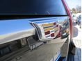 CADILLAC ESCALADE 2017/10 - 13