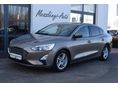 FORD FOCUS 2019/6 - 1