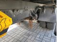 IVECO 2012/12 - 4