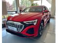 AUDI Q8 2023/4 - 1