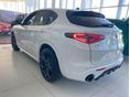 ALFA ROMEO STELVIO 2026 - 4