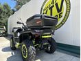 SEGWAY SNARLER AT 6L LIMITED 2026/2 - 11