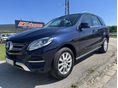 MERCEDES-BENZ GLE 250 d 4Matic (Automata)