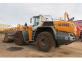 LIEBHERR 2019 - 1