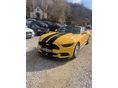 FORD MUSTANG 2017 - 1