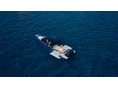VIRTUE YACHTS 2024 - 8