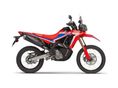 HONDA CRF 300 RALLY 2026 - 1