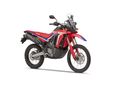 HONDA CRF 300 RALLY 2026 - 2