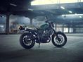 HONDA CL 500 2026 - 6
