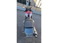 YAMAHA YZF R6 2000 - 3