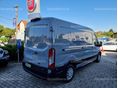 FORD TRANSIT 2022/11 - 3