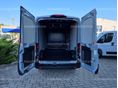 FORD TRANSIT 2022/11 - 6
