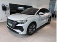 AUDI Q4 2024 - 1
