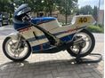 SUZUKI RG 250 G 1984/5 - 2