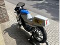 SUZUKI RG 250 G 1984/5 - 3