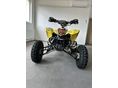 SUZUKI LT-R 450 2007 - 5