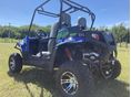 QuadPower 300EX, Quad, Buggy, Terepgokart, Homokfutó, Terepjáró, Benzines, 300cc