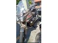 MOTO GUZZI STELVIO 1200 NTX 2011/5 - 1