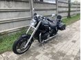 TRIUMPH SPEEDMASTER 2010 - 3