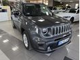 JEEP RENEGADE 2023 - 2