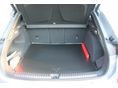 CUPRA TERRAMAR 2024/11 - 12