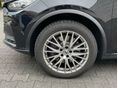 BYD TANG 2023/7 - 7