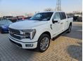 FORD F 150 F150 3.5 4x4 Hybrid Limited (Automata) 2024 Platinum Plus: 35.500.000+ Áfa Készletről
