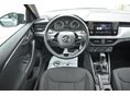 SKODA SCALA 2023/11 - 9