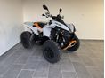 CAN-AM RENEGADE 1000 2026 - 3