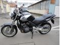 HONDA CBF 600 2006/7 - 2