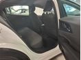 TOYOTA PRIUS 2024/2 - 12