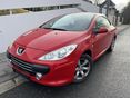 PEUGEOT 307 2006/1 - 4