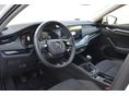 SKODA OCTAVIA 2020/1 - 15