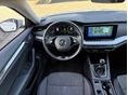 SKODA OCTAVIA 2022/9 - 9