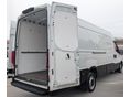 IVECO 35 2023/9 - 7
