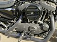 HARLEY-DAVIDSON SPORTSTER 1200 NIGHTSTER 2020/6 - 12