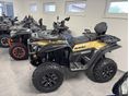 SEGWAY SNARLER AT 10L 2025 - 2