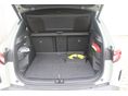 SKODA ELROQ 2025/2 - 12