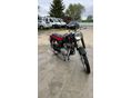 PANNONIA T5 1966 - 1