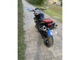 TRIUMPH STREET TRIPLE 675 R 2010 - 6