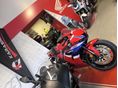 HONDA CBR 600 RR 2026 - 1