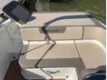 BAYLINER 2019/4 - 6